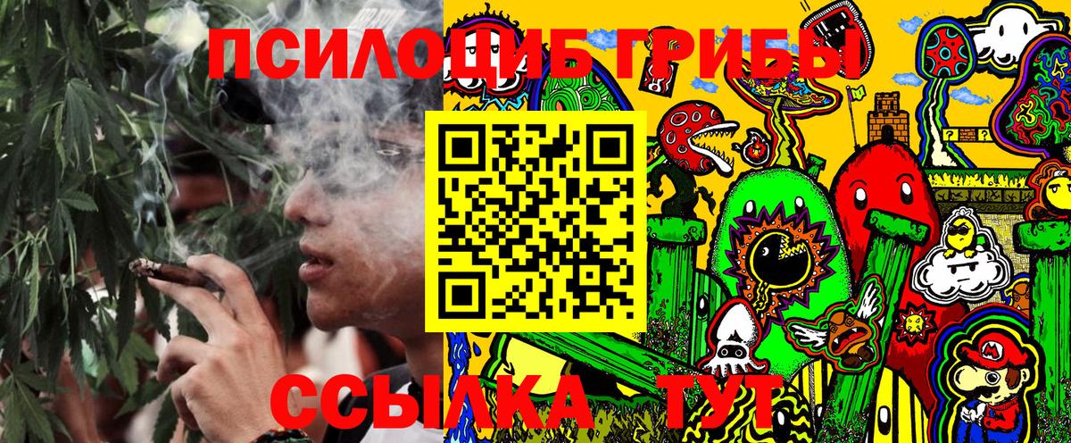 Мурманск  Псилоцибиновые грибы мицелий  Вход с VPN 